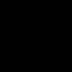 Meet your Posher, Elif